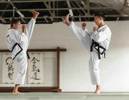 Imagem Aulas Artes Marciais